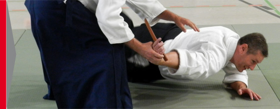 aikido